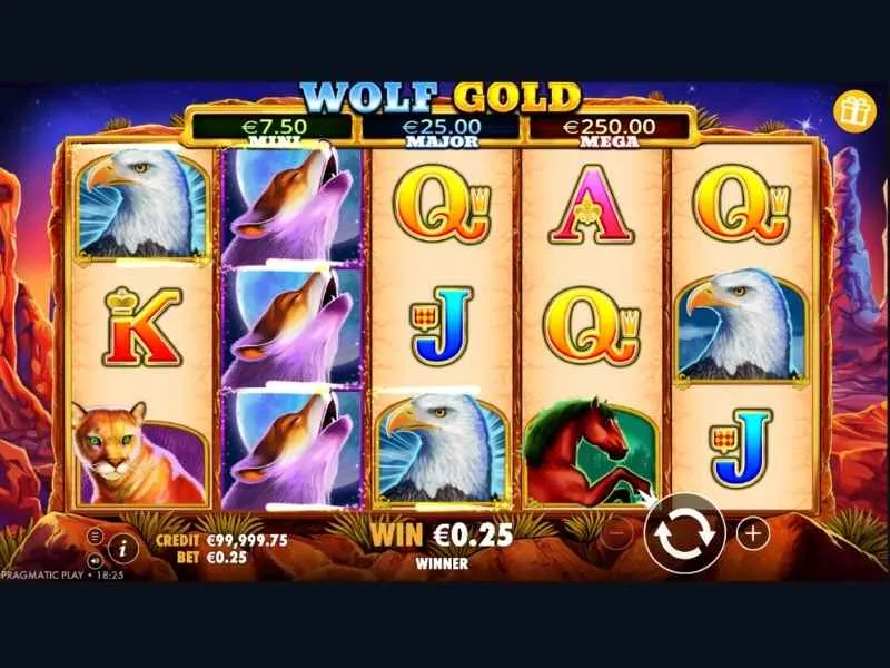 Як грати в Wolf Gold?