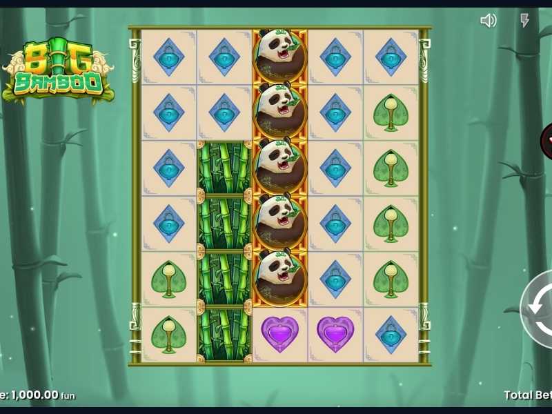 Специальные функции и символы слота