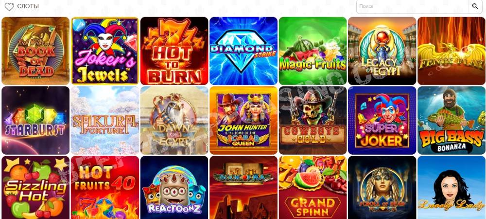What to Play at Beep Beep Casino